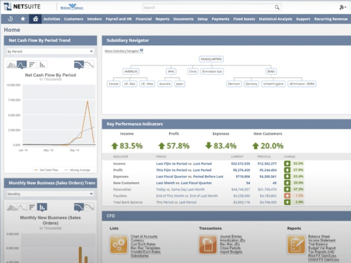 Cover image for NetSuite Deloitte Customisation