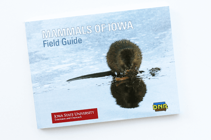 Cover image for Mammals of Iowa Field Guide