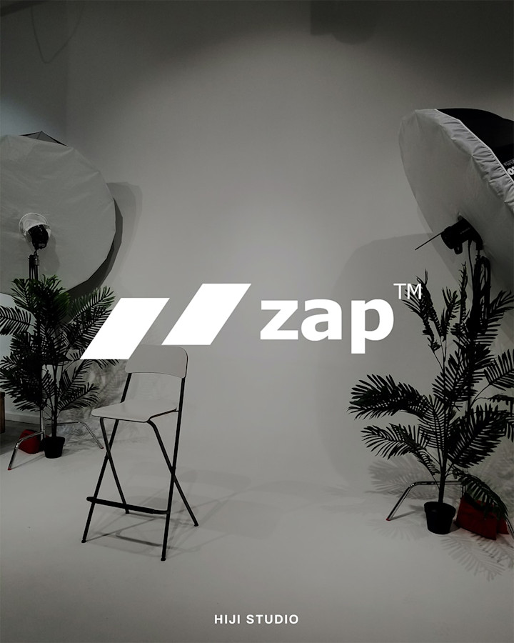 Cover image for Zap