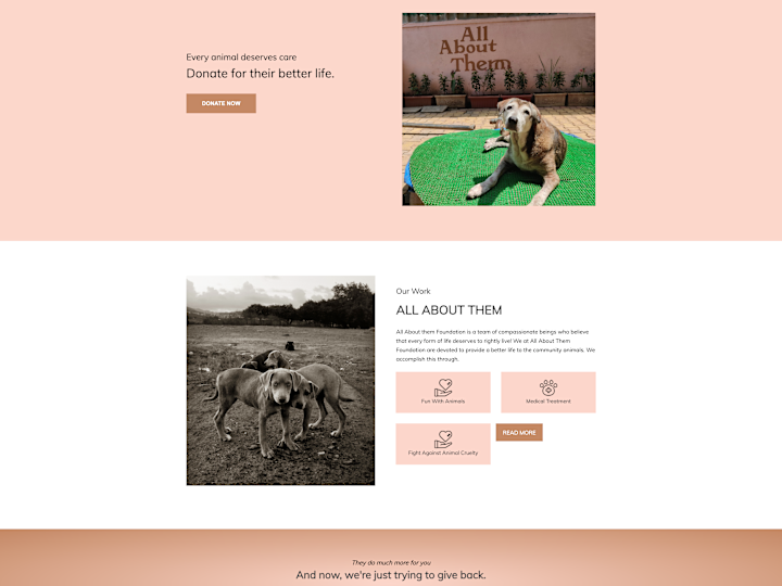 Cover image for NGO Website