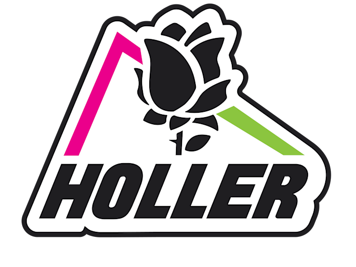 Cover image for HOLLER - Branding system