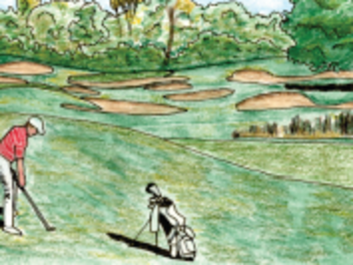 Cover image for A Sense of Place