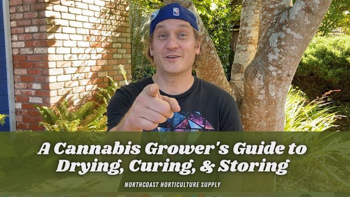 Cover image for YouTube + Social Media Videos for Cannabis Company