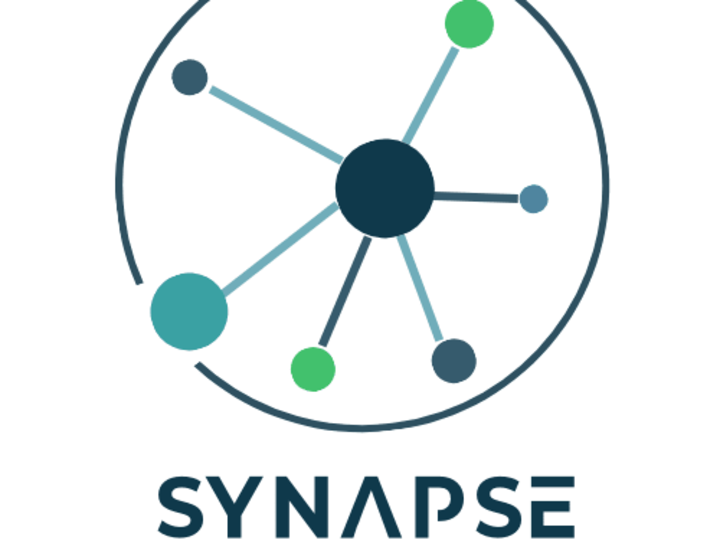 Cover image for Synapse Accounting Group - SEO & Website Revision