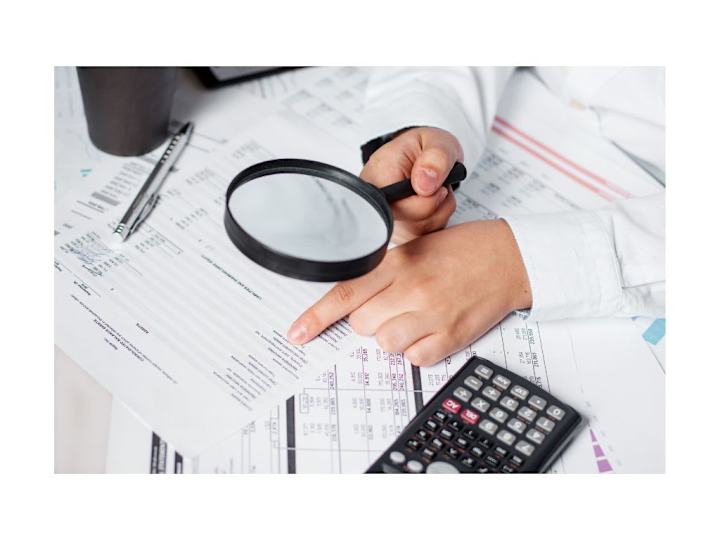 Cover image for Audit Preparation