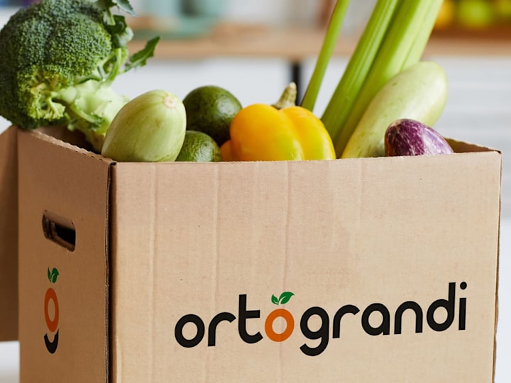Cover image for Ortograndi