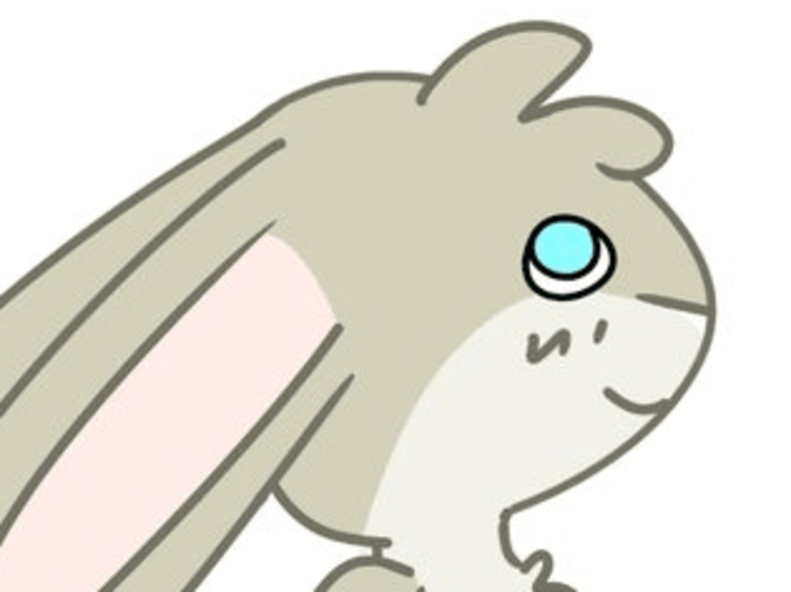 Cover image for Rabbit Coaster