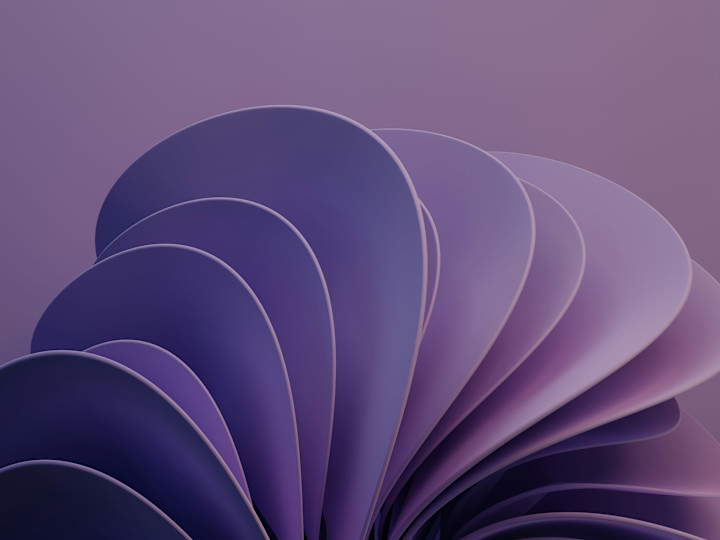 Cover image for Elevate Your Brand with a Distinctive Digital Presence