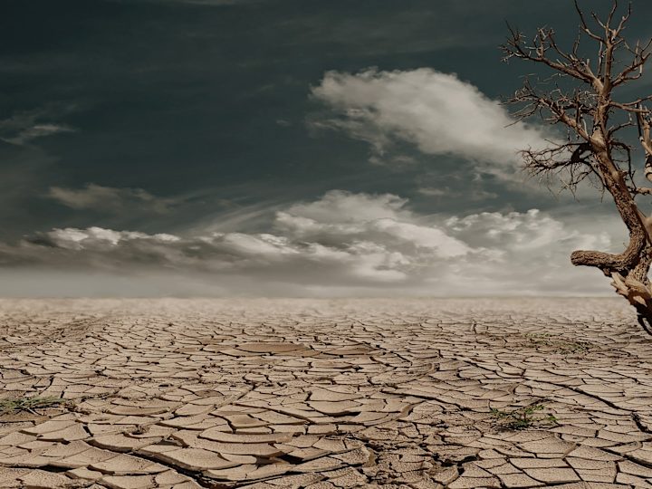 Cover image for Climate change: The grassroots interventions.