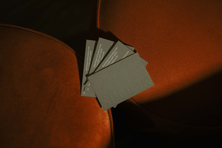 Cover image for Branding and website for Spook