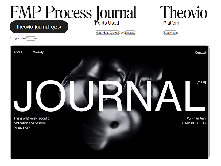 Cover image for FMP Process Journal — Theovio - Internet Gems: Website Inspirat…