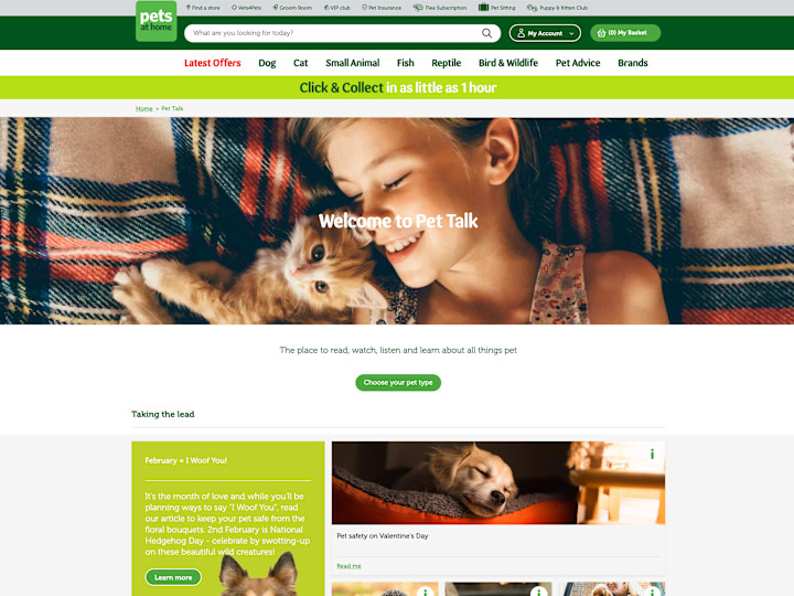 Cover image for Pets at Home Website UI Development