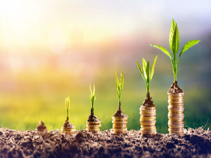 Cover image for  Optimal Investment Strategies for             
 20-Year-Old