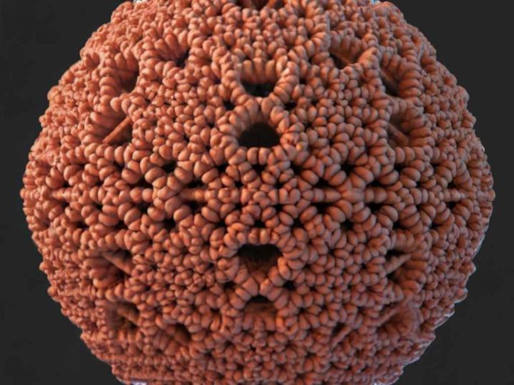 Cover image for GitHub - murtazahh/3D-Mesh-Simplification-Toolkit