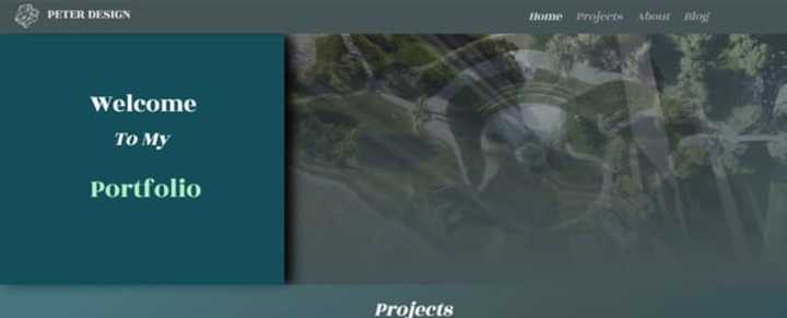 Cover image for Web Design WIX