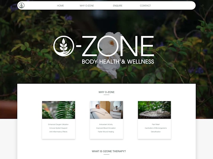 Cover image for O-Zone Body Health & Wellness