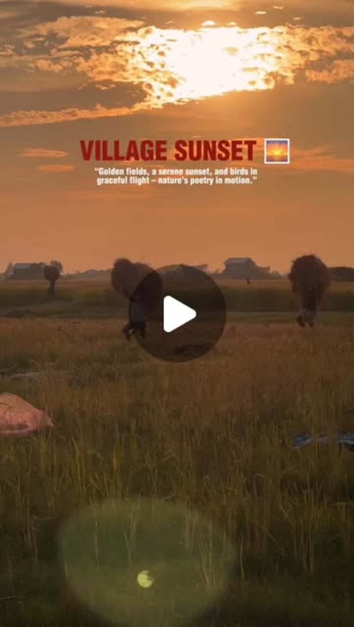 Cover image for Social Media Video Editing