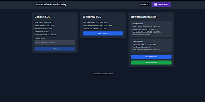 Cover image for Solana Devnet Liquid Staking Pool