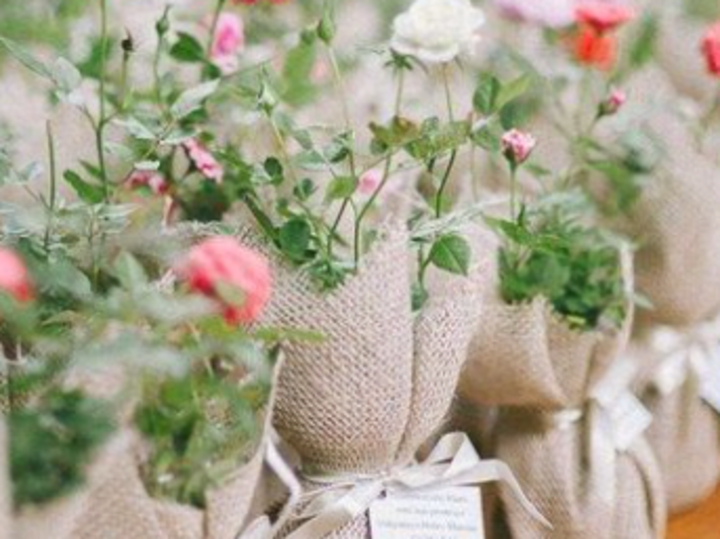 Cover image for Wake Up and Smell the Roses: 5 Tips for a productive morning