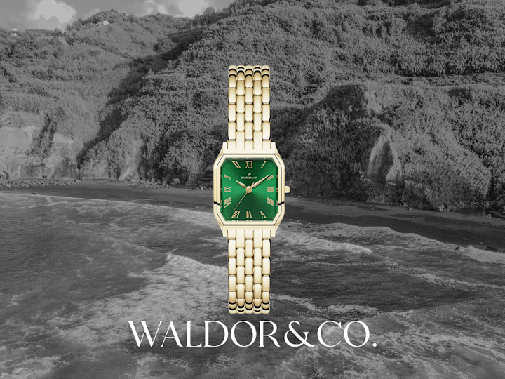 Cover image for Waldor&Co