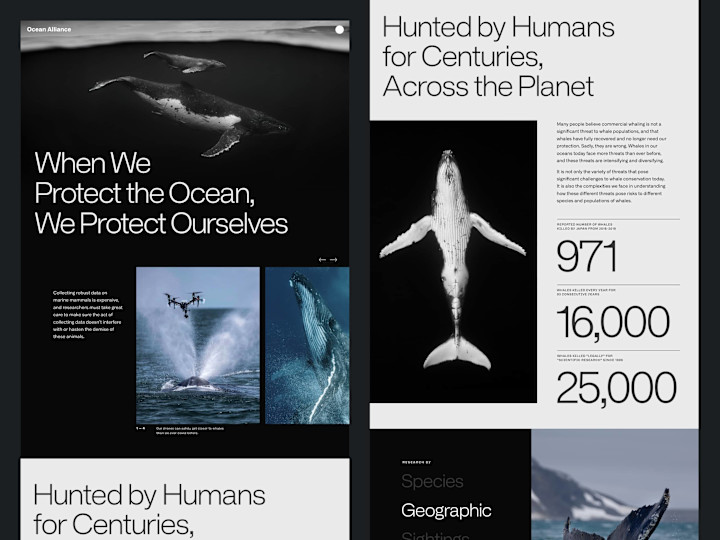 Cover image for Web Design Gallery