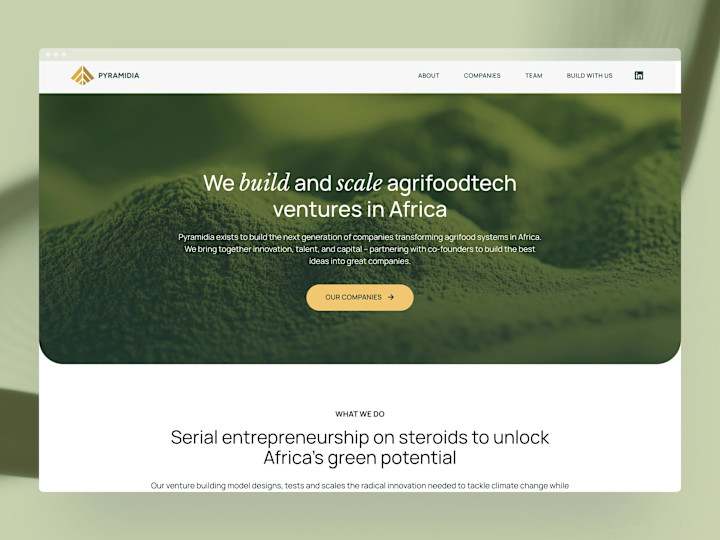 Cover image for Pyramidia Ventures Website Redesign