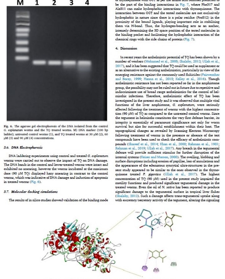 Cover image for writing research article for Scientific Journal