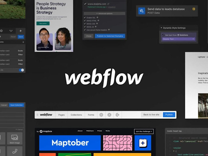 Cover image for I specialize in Webflow sites that are enchanting and effective!