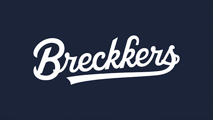 Cover image for I am a expert Wordmark logo design