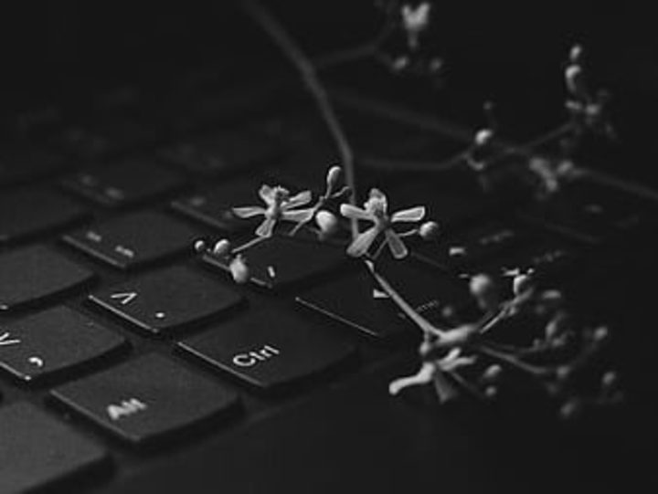 Cover image for article writwer
