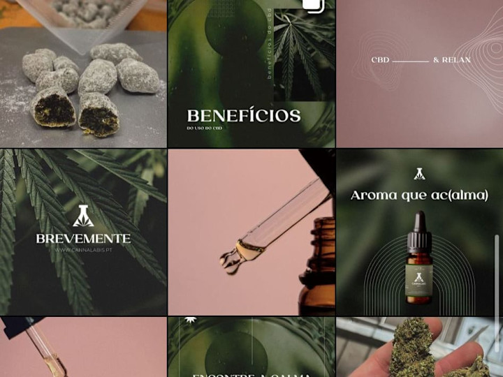 Cover image for Social Media Management - CBD Store