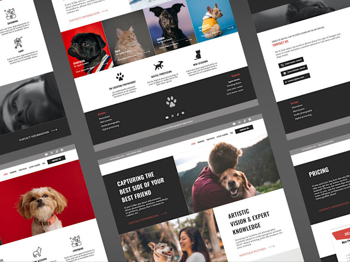 Cover image for WordPress Website Design and Development