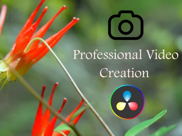 Cover image for Professional Videography Services