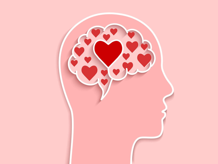 Cover image for Your Brain on Love-WCC STEM Scholars Newsletter May 2023