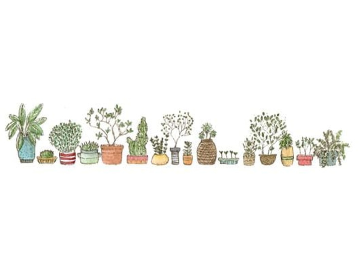 Cover image for Article: Nature Clubs