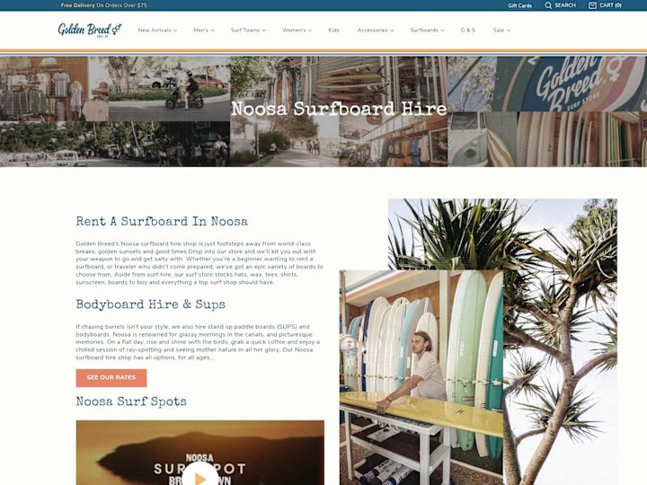 Cover image for Shopify Theme Development