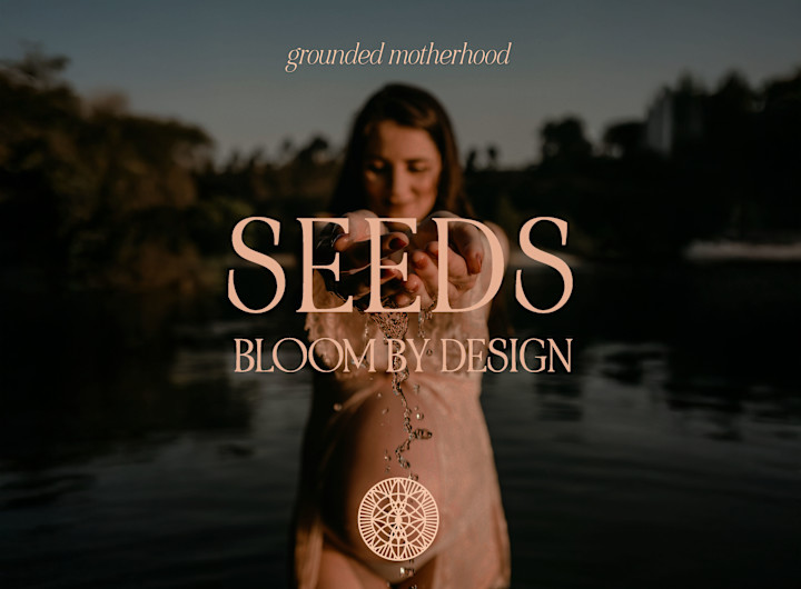 Cover image for Seeds ~ Brand Design and Discovery