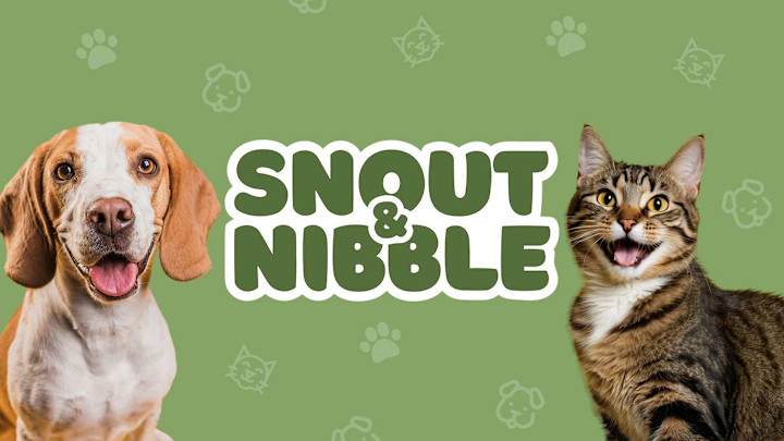 Cover image for Fun & Organic Branding for Snout & Nibble