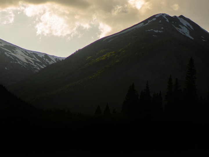 Cover image for Showreel