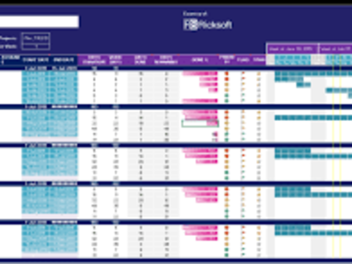 Cover image for Excel Management