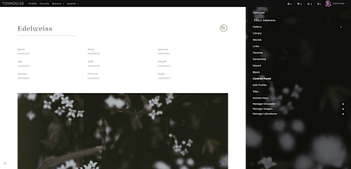 Cover image for Web Design