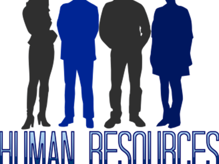 Cover image for Revamping a Company's HR Department