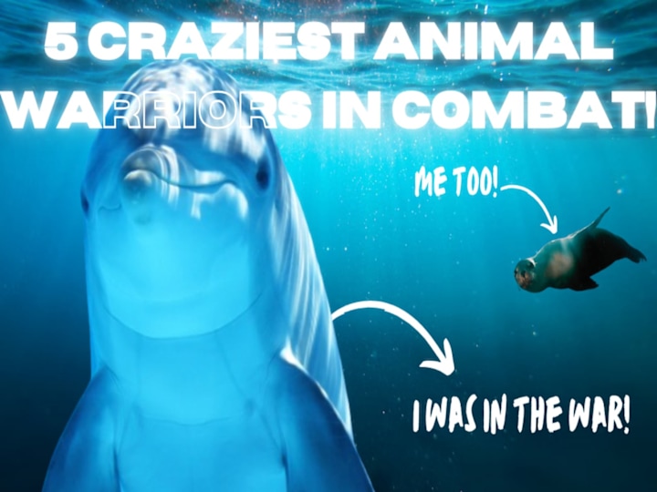 Cover image for YOUTUBE THUMBNAILS