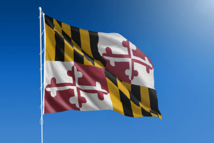 Cover image for 10 Reasons Your Maryland Website is Failing to Attract Visitors