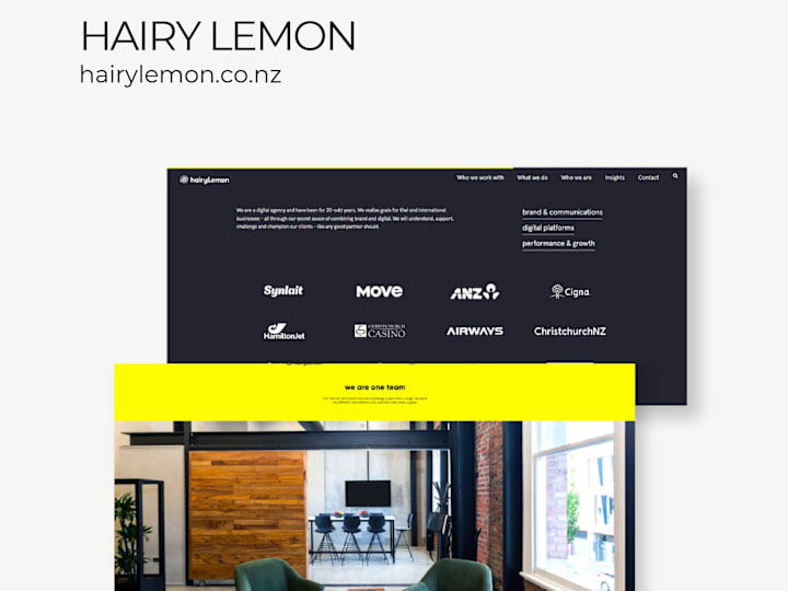 Cover image for HAIRY LEMON