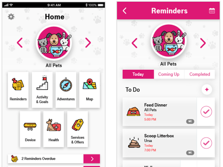 Cover image for Delightful Mobile Experience for Pet Owners - T-Mobile