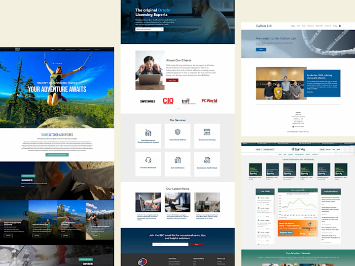 Cover image for WordPress Website Development for Ecommerce , resturents, travel