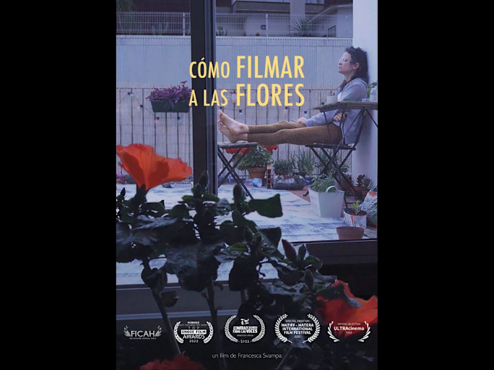 Cover image for How to Shoot Flowers