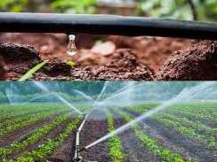 Cover image for Distinguishing between the Drip/Sprinkler System 