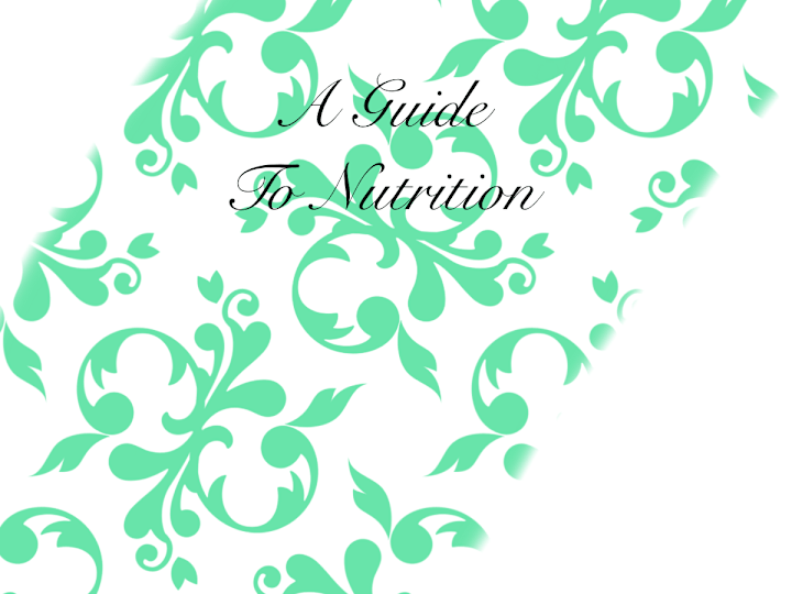 Cover image for A Guide To Nutrition 